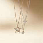The North Star